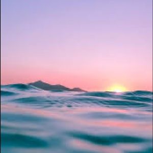 Meet your Posher, Cat